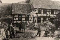 Ernte in der Esm&uuml;hle um 1915